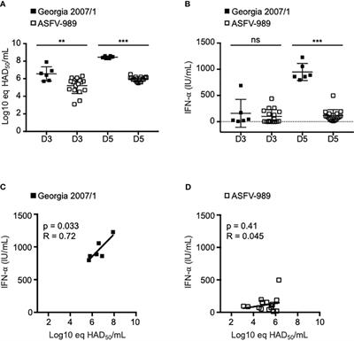 Exploring type I interferon pathway: virulent vs. attenuated strain of African swine fever virus revealing a novel function carried by MGF505-4R